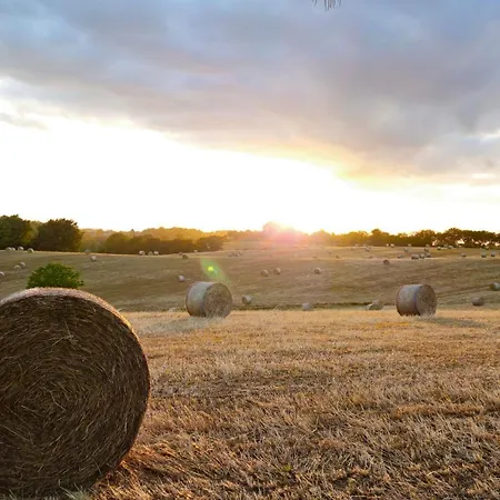 Casale Sant'antonio Palestrina